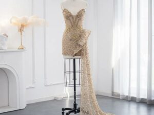 Red Carpet Ready Dress
